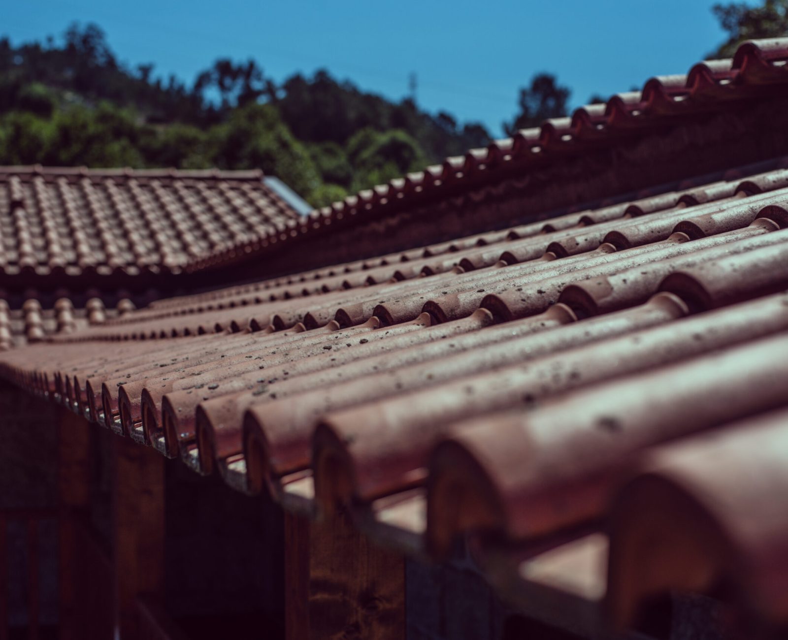 Home clay roof tile